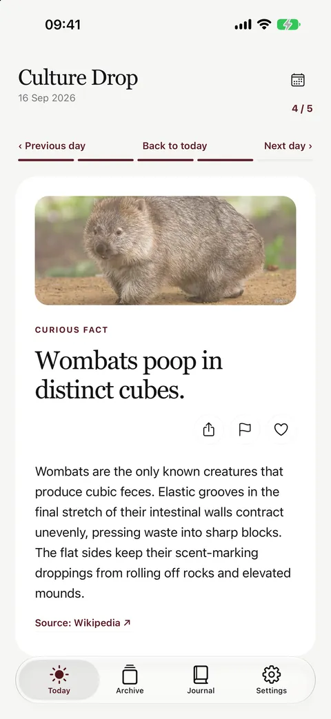Culture Drop curious fact card: wombats produce cube-shaped droppings, with a source link